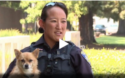 Vacaville PD Adopts Dog Rescued From Wildfires